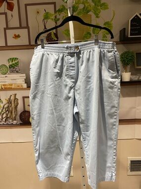 Willow Jane Light Blue Elastic Waist Casual Pants